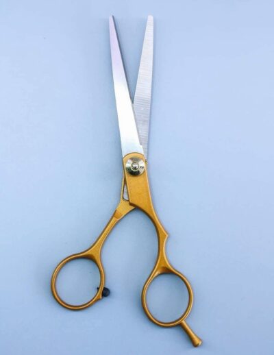 2ffd382e-badf-479c-af3d-1e49163268e4