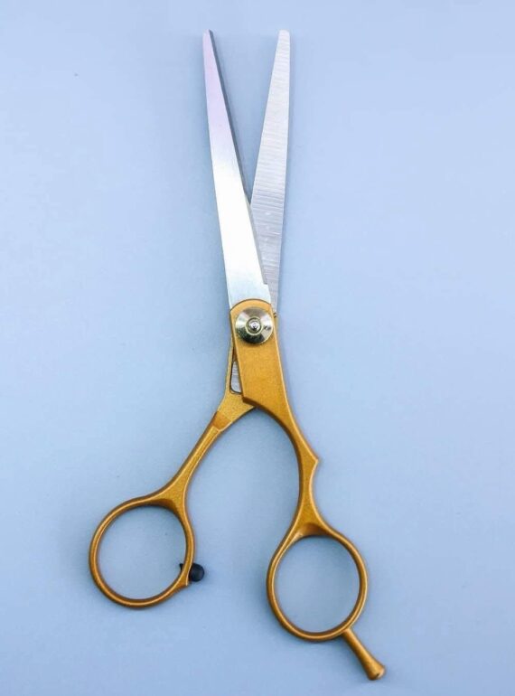 2ffd382e-badf-479c-af3d-1e49163268e4