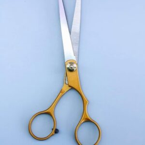 Professional Hair Scissor